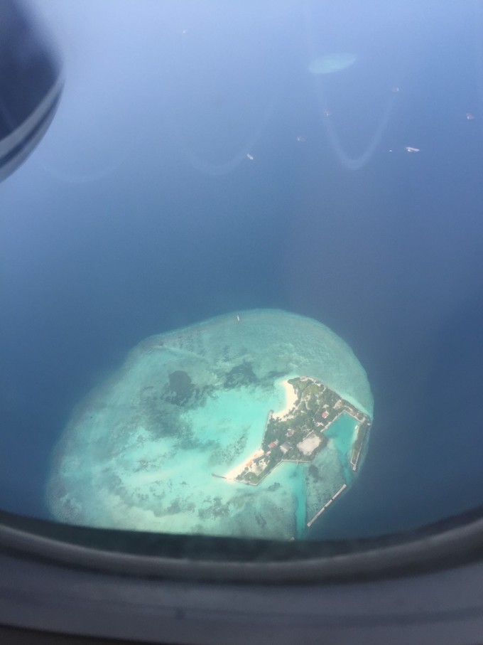 阿玛瑞